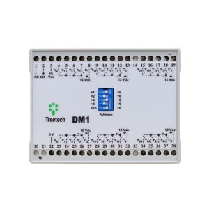 31-dm1